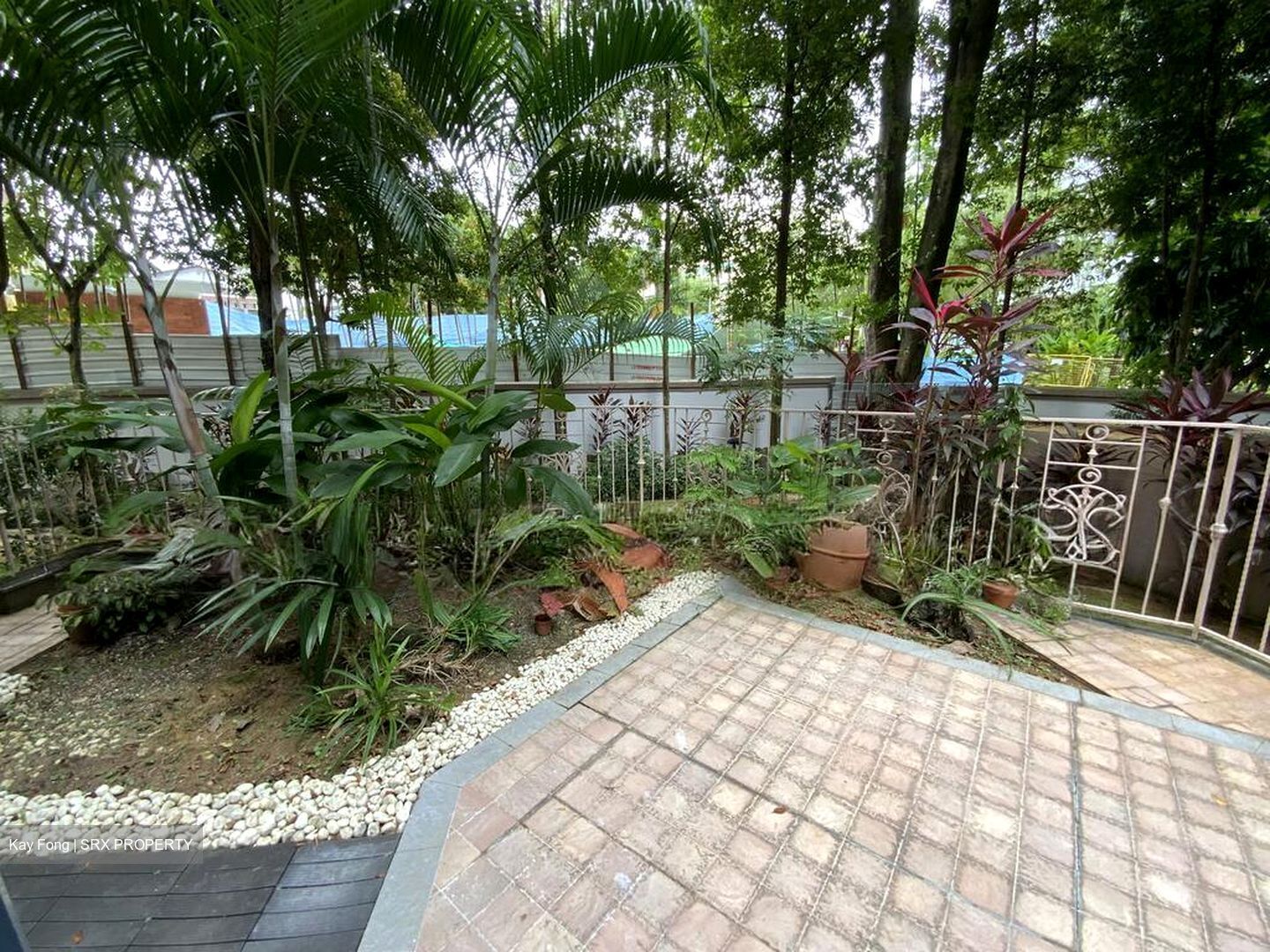 Evelyn Mansions (D11), Apartment #521183581